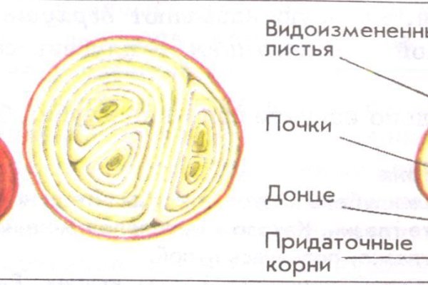 Кракен без впн