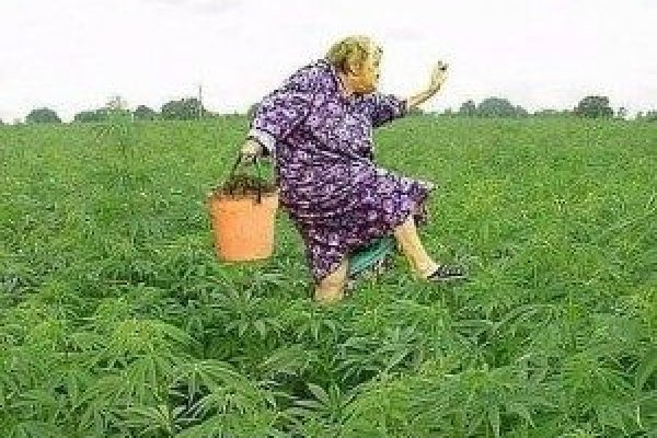 Кракен адрес супернет