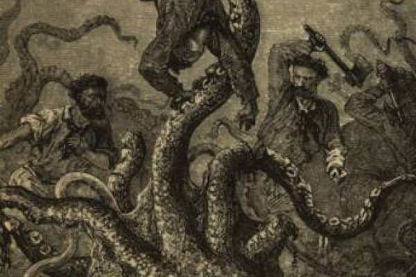 Kraken 12 at