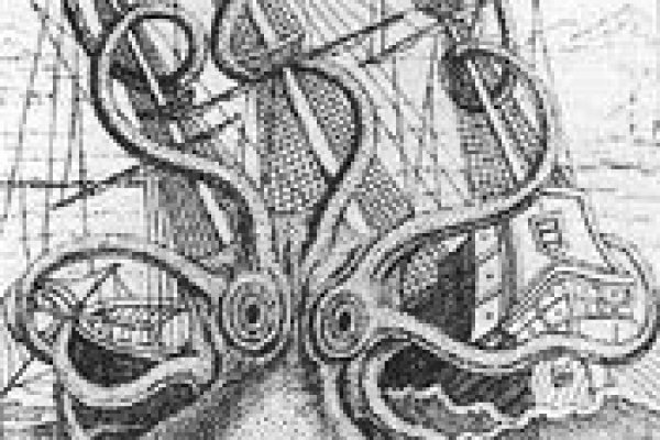 Kraken актуальные зеркала krakentor site