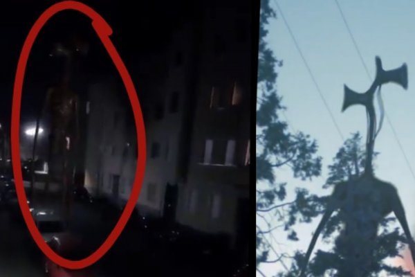 Kraken зеркала gigageek ru
