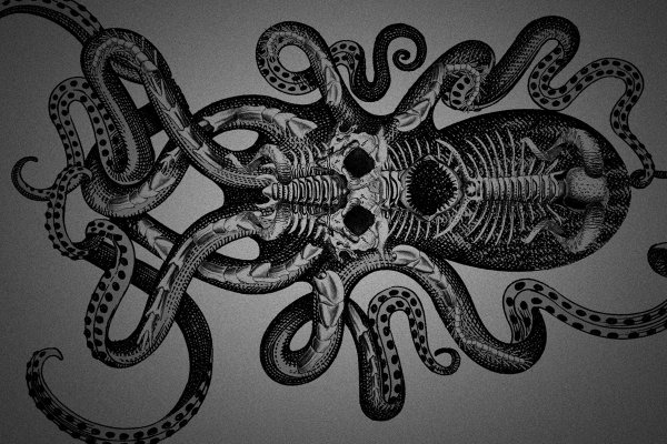 Kraken настоящая ссылка