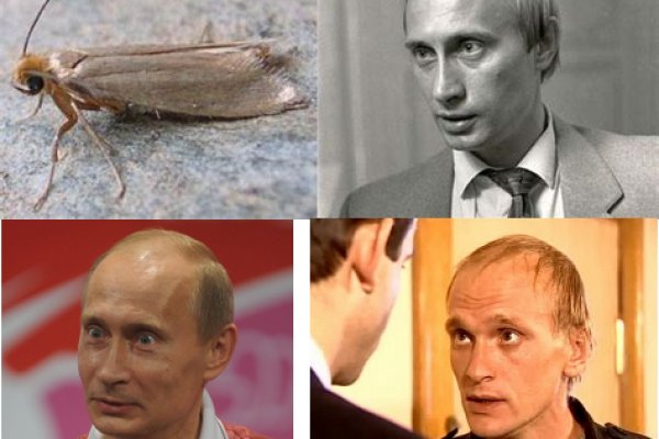Мега кракен блэк спрут