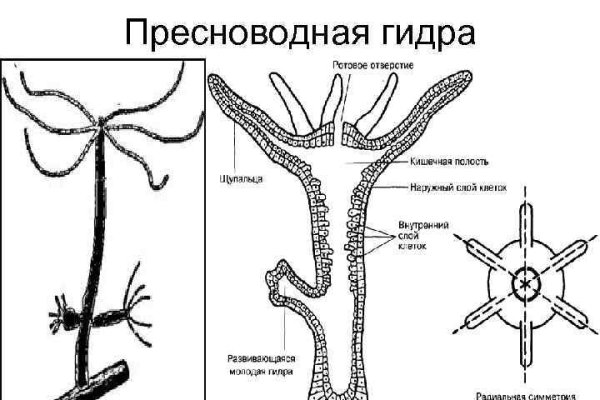 Кракен это счастье