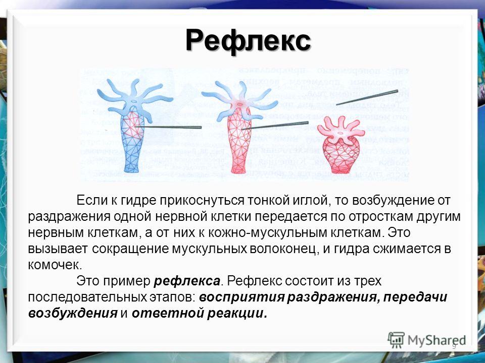 Кракен какой сайт