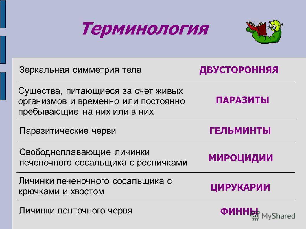 Darkmarket